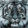 Картина Face Tiger, коллекция "Лицо Тигра" Картина Face Tiger, коллекция "Лицо Тигра"
