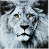 Картина Face Lion, коллекция "Лицо Льва" Картина Face Lion, коллекция "Лицо Льва"