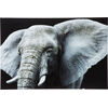 Картина Face Elefant, коллекция Лицо Слона Картина Face Elefant, коллекция Лицо Слона