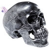 Копилка Skull, коллекция Череп Копилка Skull, коллекция Череп