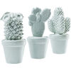 Статуэтка Cactus, коллекция Кактус, в ассортименте Статуэтка Cactus, коллекция Кактус, в ассортименте