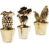 Статуэтка Cactus, коллекция Кактус, в ассортименте Статуэтка Cactus, коллекция Кактус, в ассортименте