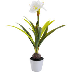 Предмет декоративный Amaryllis, коллекция Амариллис Предмет декоративный Amaryllis, коллекция Амариллис