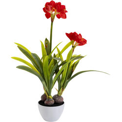 Предмет декоративный Amaryllis, коллекция Амариллис Предмет декоративный Amaryllis, коллекция Амариллис