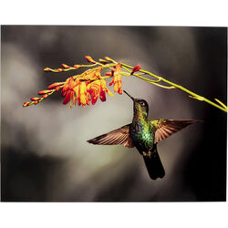Картина Colibri, коллекция Колибри Картина Colibri, коллекция Колибри