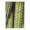 Картина в рамке Cactus, коллекция Кактус Картина в рамке Cactus, коллекция Кактус