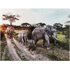 Картина Elefant Family, коллекция Семья Слонов Картина Elefant Family, коллекция Семья Слонов