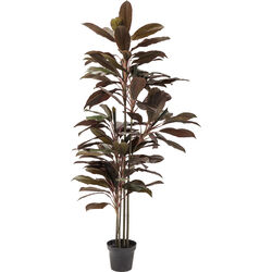 Kare Design - Артикул 60721 Kare Design - Предмет декоративный Cordyline, коллекция Кордилин
