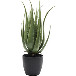 Kare Design - Артикул 60724 Kare Design - Предмет декоративный Aloe, коллекция Алоэ
