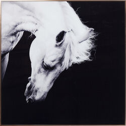 Kare Design - Артикул 61463 Kare Design - Картина в рамке Proud Horse, коллекция Гордая лошадь, ручная работа
