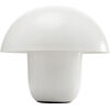 Лампа настольная Mushroom, коллекция "Гриб" Лампа настольная Mushroom, коллекция "Гриб"