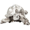 Статуэтка Turtle, коллекция Черепаха Статуэтка Turtle, коллекция Черепаха