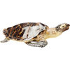 Статуэтка Turtle, коллекция Черепаха Статуэтка Turtle, коллекция Черепаха