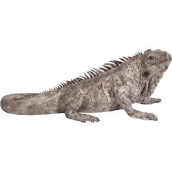 Статуэтка Iguana, коллекция Игуана Статуэтка Iguana, коллекция Игуана